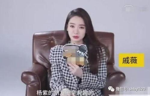 杨紫微博爆料事件最新消息,真相揭晓，疑云散去  第2张